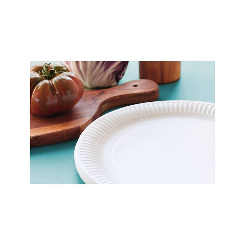 AirCarbon Plates 10" - 20ct