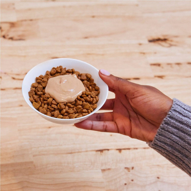 Temptations Creamy Puree with Salmon Lickable Adult Cat Treats - 1.7oz