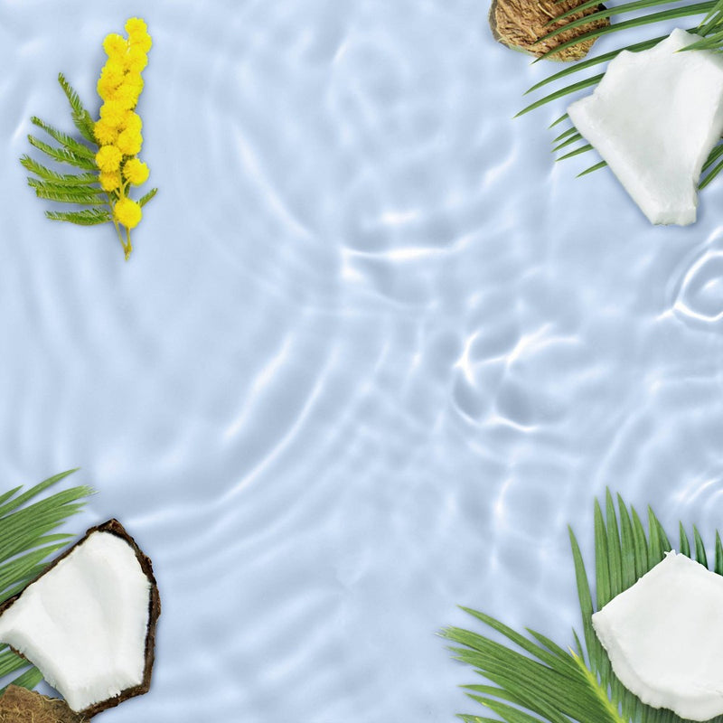 Love Beauty and Planet Coconut Water & Mimosa Flower Sulfate Free Shampoo Refill - 32.3 fl oz
