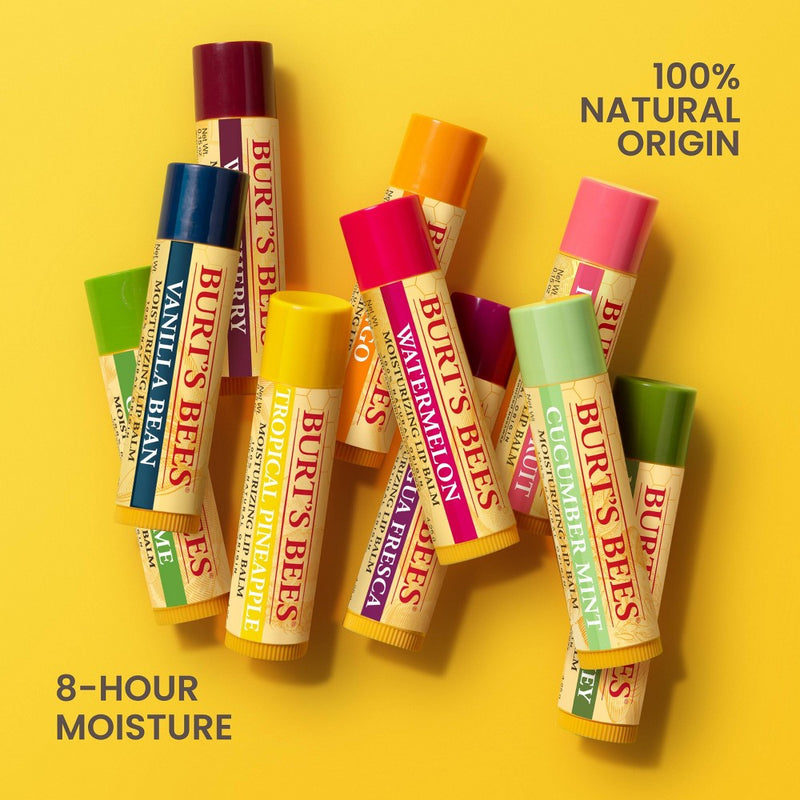 Burt's Bees Honey Lip Balm Blister Box - 0.15oz