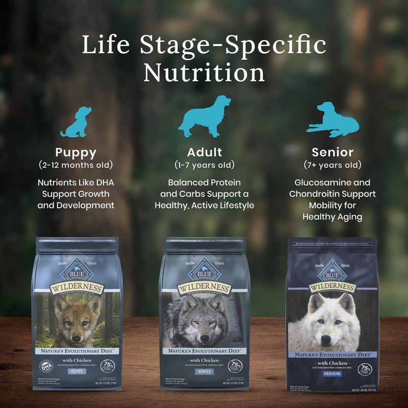 Blue Buffalo Wilderness High Protein Natural Puppy Dry Dog Food with Chicken Flavor - 13lbs