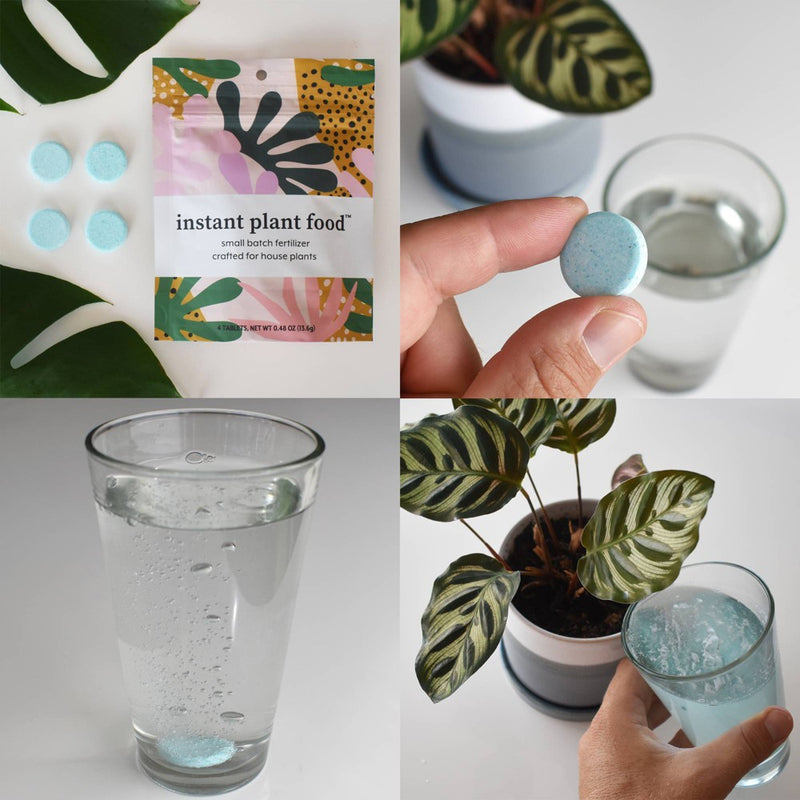Instant Plant Food 4pk Houseplant Fertilizer Tablets for Indoor Plants