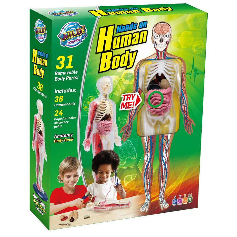Wild! Science Hands-On Human Body Science Kit