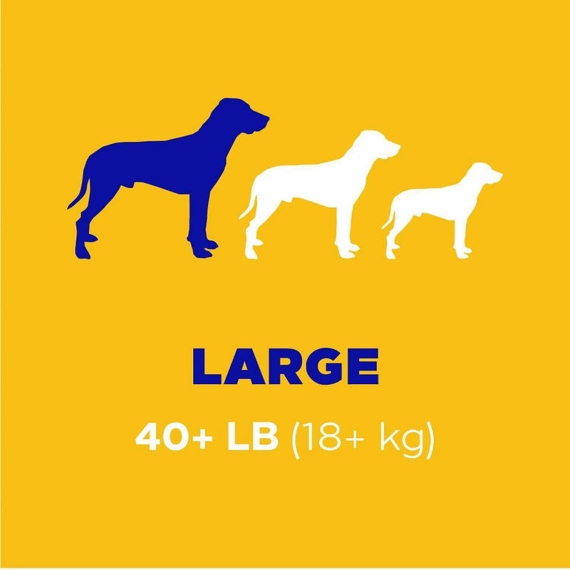 Pedigree Dentastix Fresh Large Dental Chicken and Mint Flavor Dental Dog Treats - 36ct