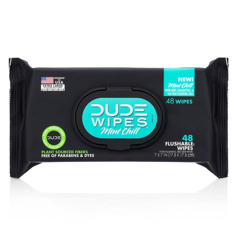 Dude Wipes Mint Chill Flushable Personal Wipes - 48ct