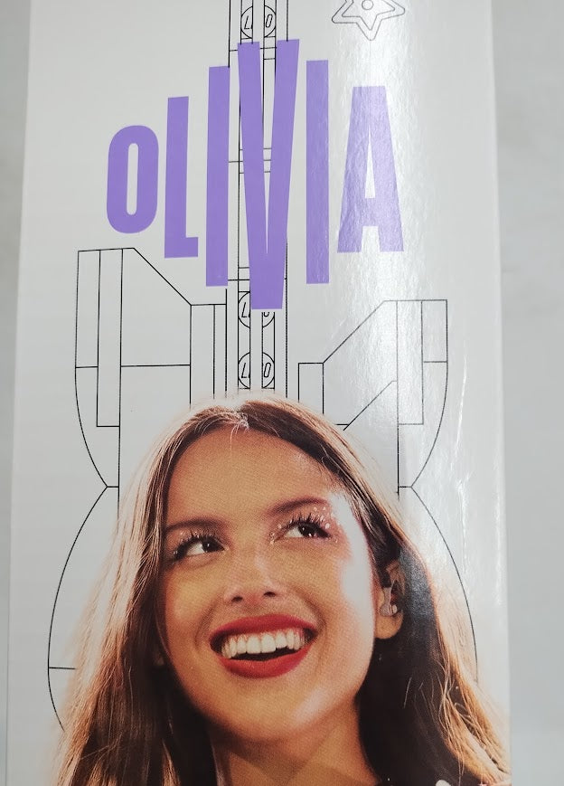 LEGO Editions Olivia Rodrigo's Secret Storage 43030 SEE DETAILS
