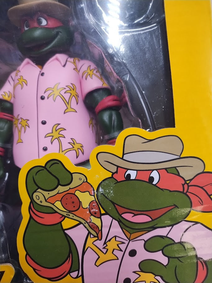 Teenage Mutant Ninja Turtles Raphael and Michelangelo SEE DETAILS