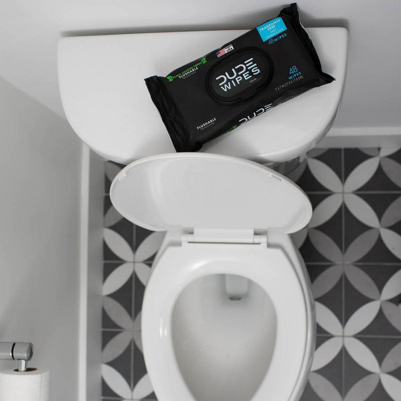 Dude Wipes Fragrance Free Flushable Wipes - 48ct