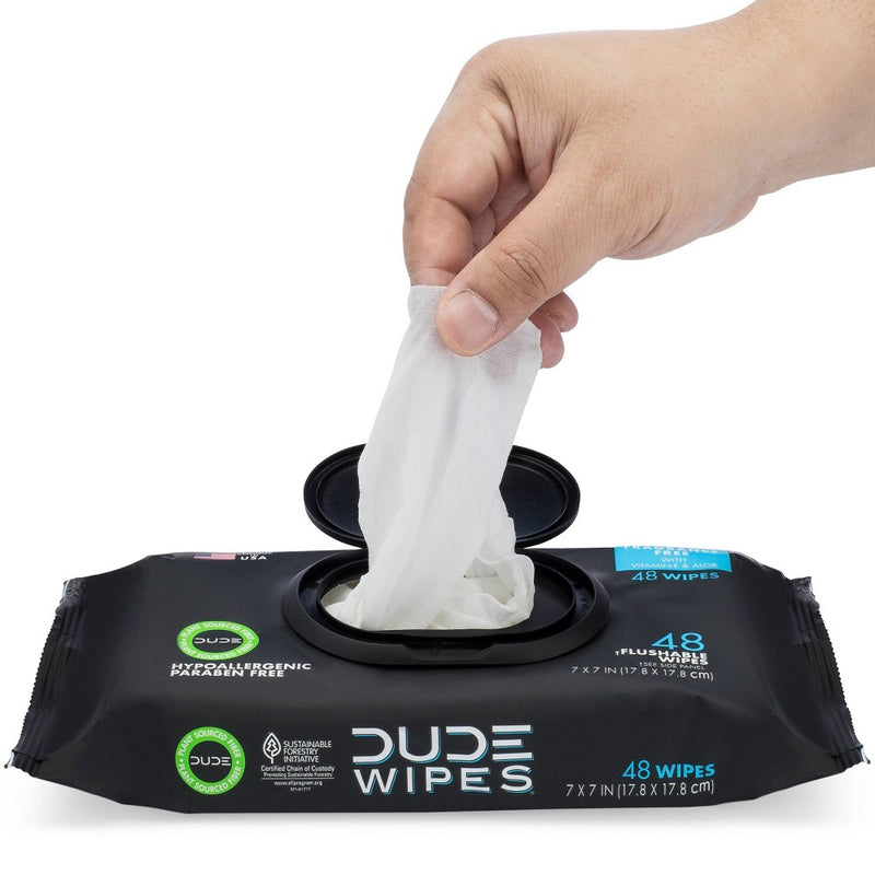 Dude Wipes Fragrance Free Flushable Wipes - 48ct