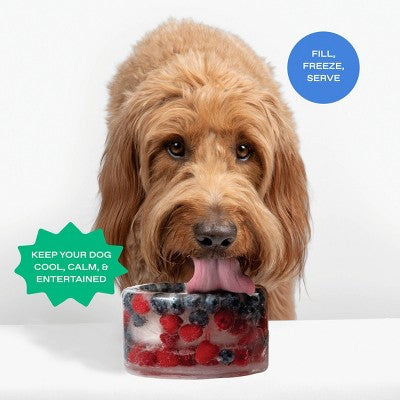 Springland Freeze-Your-Own Dog Treat Bowl - Yellow