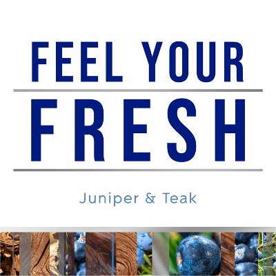 Glade Fresh Aerosol Room Air Freshener - Juniper & Teak - 8oz