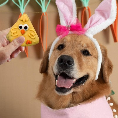 Molly's Barkery Easter Chick Apple and Cinnamon Flavor Crunchy Dog Treats - 3.42oz/2pk