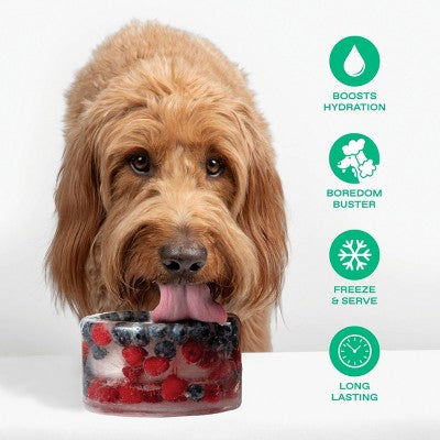 Springland Freeze-Your-Own Dog Treat Bowl - Yellow