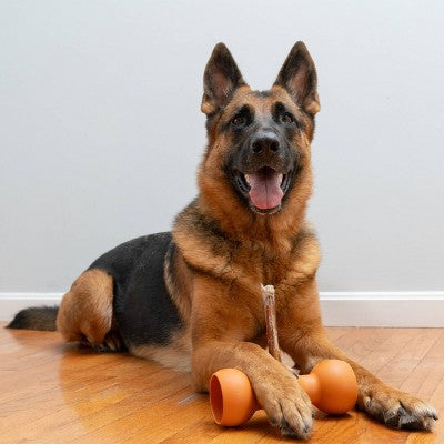 Bow Wow Buddy Safety Device Holder for Dog Bully Sticks and Chews - L