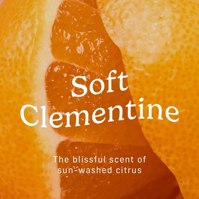 Niches & Nooks Intimate pH Balanced Refreshing Flushable Feminine Wipes - Soft Clementine - 45ct