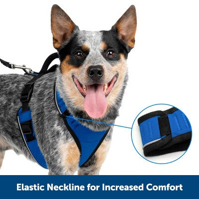 PetSafe EasySport Adjustable Dog Harness - M - Black: Nylon, Comfort-Grip, Reflective