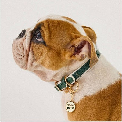 Hooray House Moto Vegan Leather Dog Collar - Green M