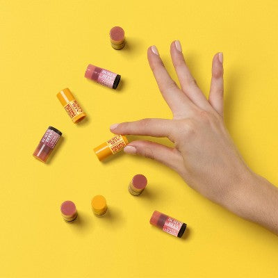 Burt's Bees Holiday Mini Lip Balms - Beeswax + Rose Tinted - 2pk/0.006oz