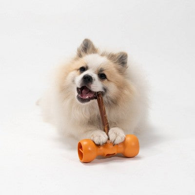 Bow Wow Buddy Safety Device Holder for Dog Bully Sticks and Chews - L