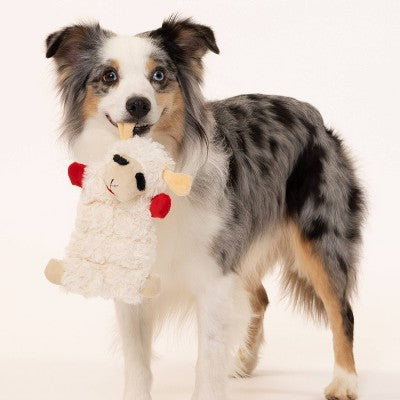Multipet 9" Lamb Chop Squeaker Mat Dog Interactive Plush Toy