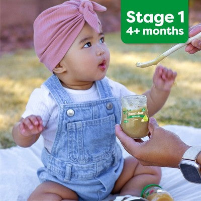 Beech-Nut Non-GMO Organics Apples Baby Food Jar - 4oz