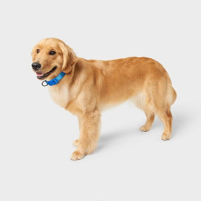 Basic Adjustable Dog Collar with Matching Buckle - M - Blue - Boots & Barkley