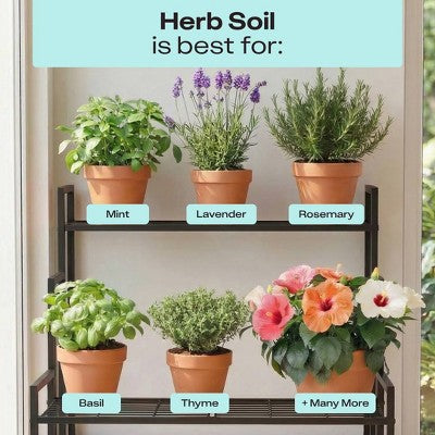 Rosy Soil 4qt Herb Mix Organic Potting Soil Blend for Indoor Plants: Enriched with Biochar, Worm Castings, Fast Draining, Peat Free