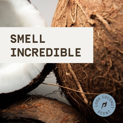 Papatui Men's Exfoliating and Hydrating Sulfate-Free Coconut Oil Body Wash - Lush Coconut - Trial and Travel Size - 3 fl oz