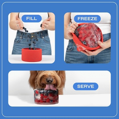 Springland Freeze-Your-Own Dog Treat Bowl - Yellow