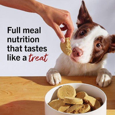 Stella & Chewy's Chicken Flavor Freeze-Dried Patties Dry Dog Food - 5.5oz