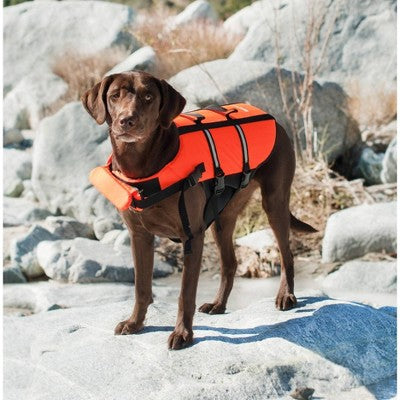 ZippyPaws Adventure Life Dog Jacket - M