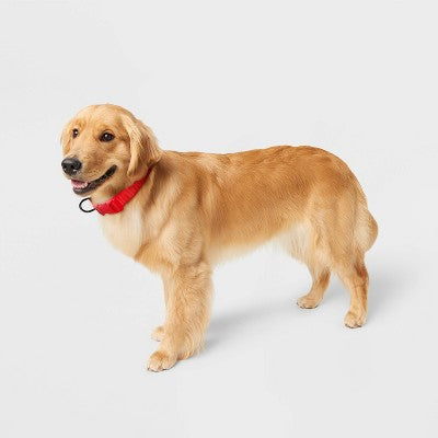 Basic Adjustable Dog Collar with Matching Buckle - M - Red - Boots & Barkley
